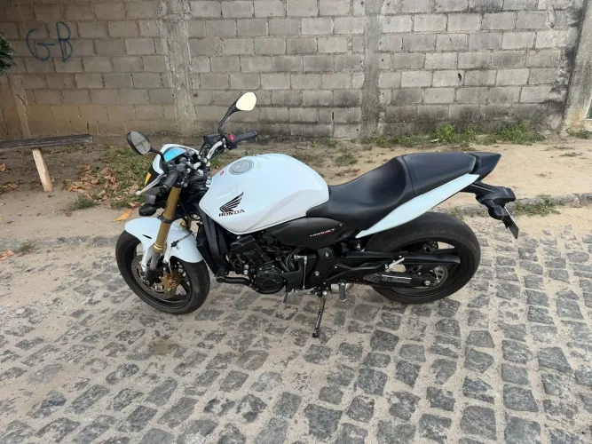 Hornet 600