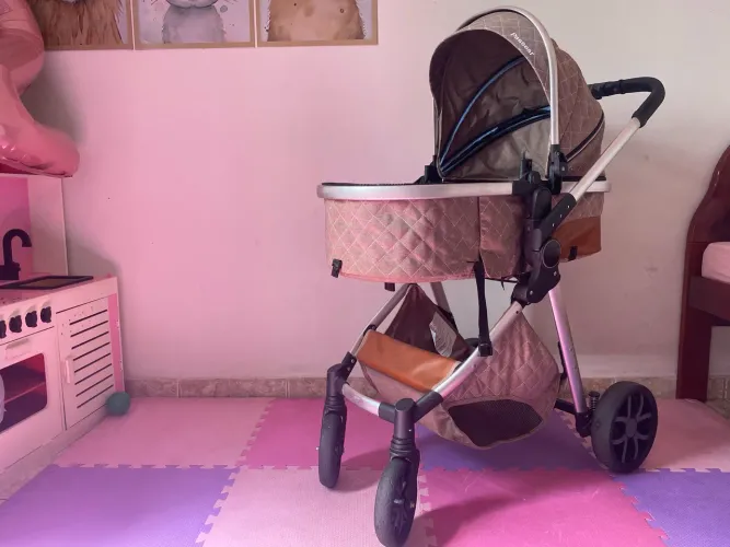 Carrinho de bebê Moisés