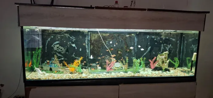 Aquário Jumbo com sump