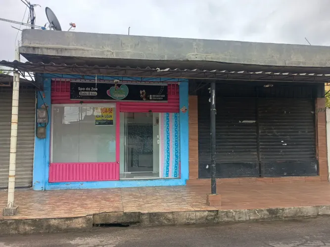 Loja banho e tosa