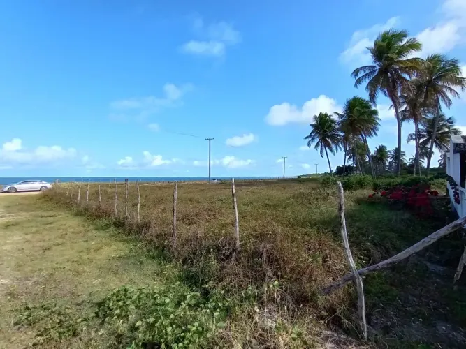 Loteamento amplo em Tamandaré - excelente área verde - Oportunidade!!