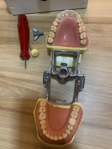 Manequim odontológico dentística MOM