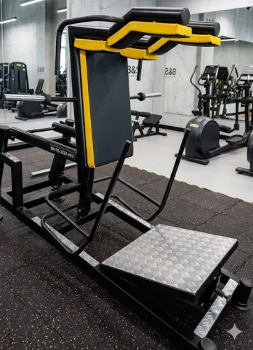 Hack squat 