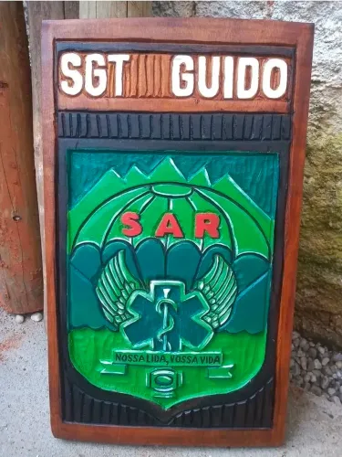 ESCUDOS E BRASÕES ENTALHADOS.