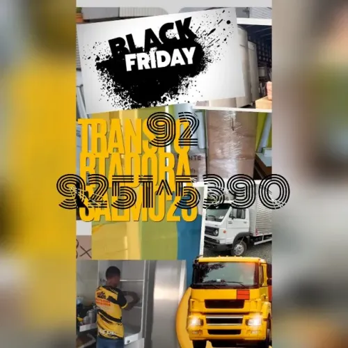 Frete mudança manaus e interior ligue e faça seu orçamento 