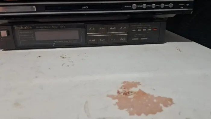 dvd suzuki