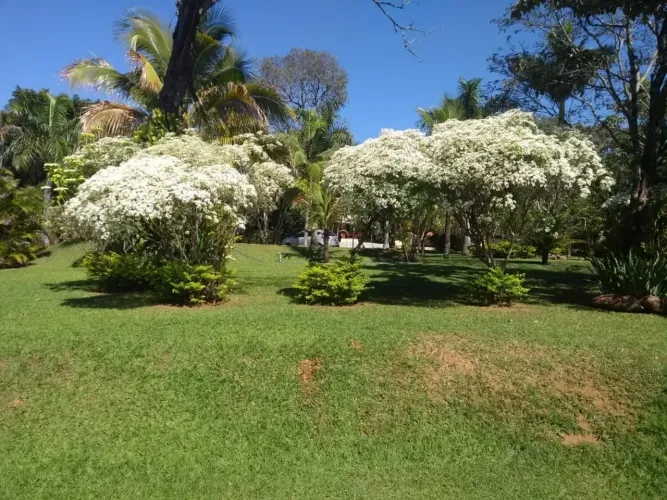 Fazenda/Sítio/Chácara para venda tem 5000 metros quadrados com 3 quartos
