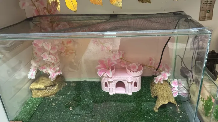 Terrário/aquario