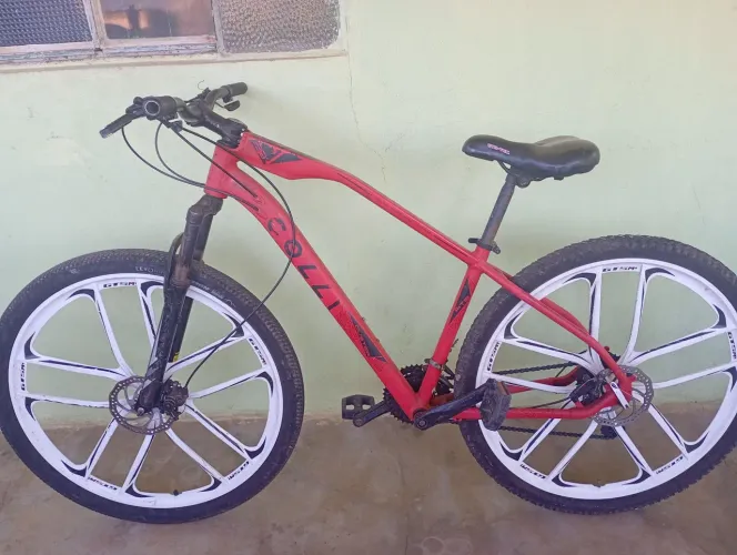 Bicicleta