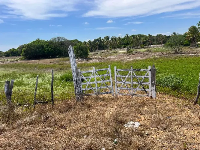 Área de 4 Hectares à Venda em Ponta do peba  Beira da Pista,