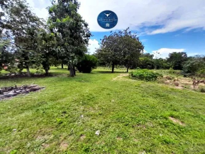 Fazenda de 90 Alqueires na Região de Vila Propício Oportunidade