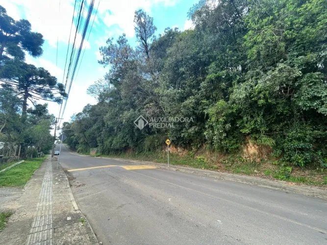 Oportunidade Única: Terreno de Esquina Acima do Nível da Rua no Bairro Palace Hotel em Can
