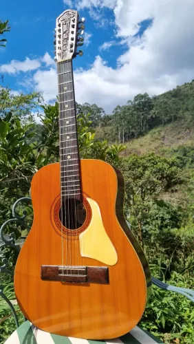 Violão 12 cordas digiorgio