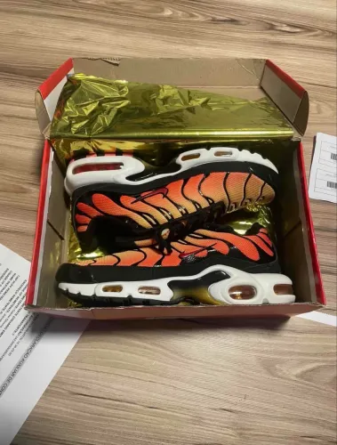 Air Max Tn Sunset