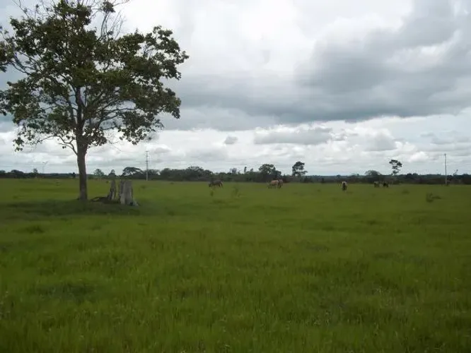 Área à venda para loteamento residencial, 196000 m² por R$ 74.500.000 - Granja Viana - Cot