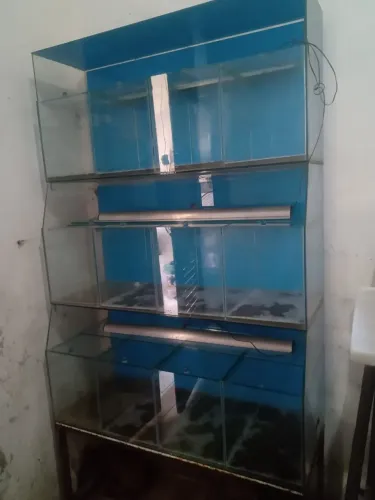 Expositor/Prateleira para comércio