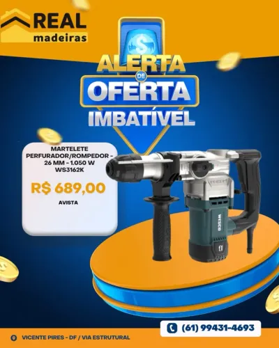 Martelete Perfurador/Rompedor 1.050W WS3162K