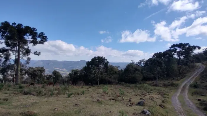 Lindas Chácaras de 2 e 3 hectares à venda em Santa Teresa, Urubici-SC