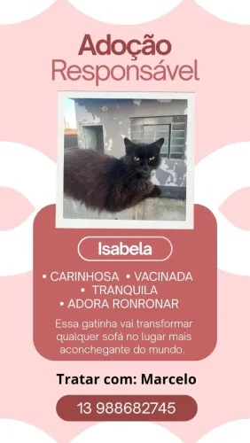 ADOÇÃO RESPONSÁVEL
