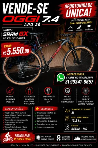 Bicicleta OGGI Grupo SRAM GX 12 machas