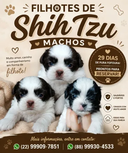 Interessados entra em contato