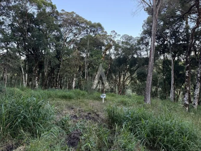 Terreno com 20.227,7m² à venda em Campo Alegre-SC por R$1.079.000,00.