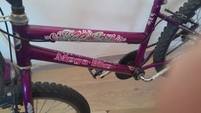 Bicicleta
