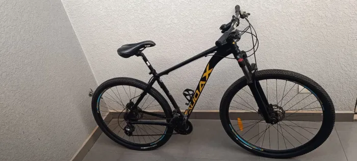 Bicicleta Audax