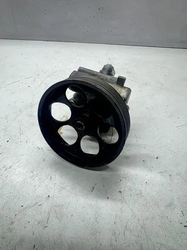 Bomba Direção Hidráulica Duster 2.0 16v 491105510r