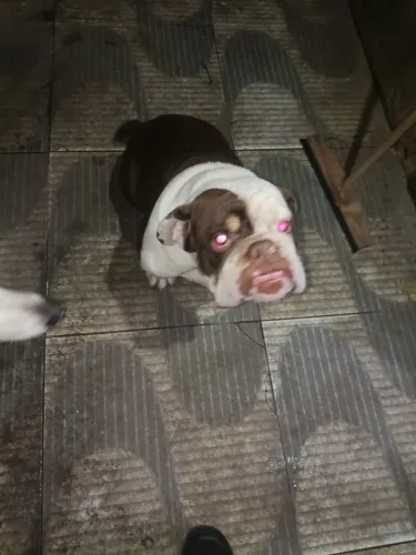 Doação