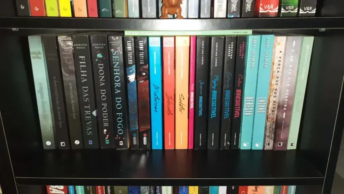 Lote de 21 Livros - Romance, fantasia...