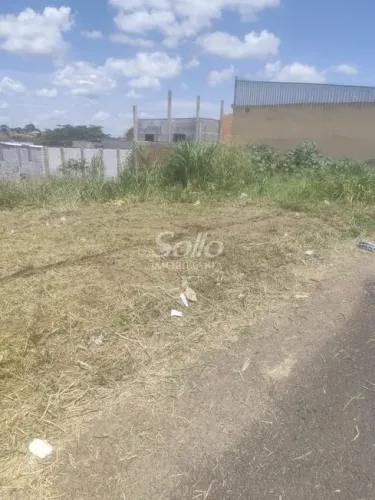 Venda Terreno SANTA ROSA