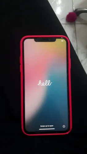 Xs max