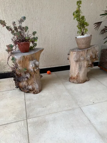 Madeira corte árvore para decoração