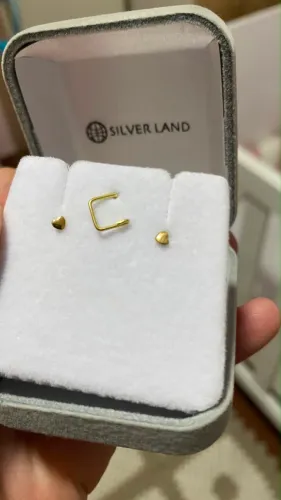 Par de brincos OURO SILVER LAND