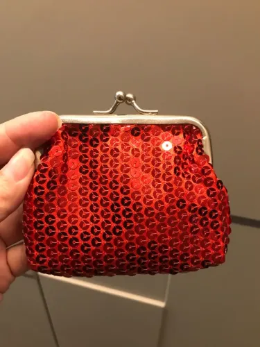 Porta Níquel em Paetê Zara Novo