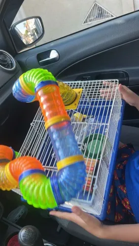 Gaiola pra hamster 
