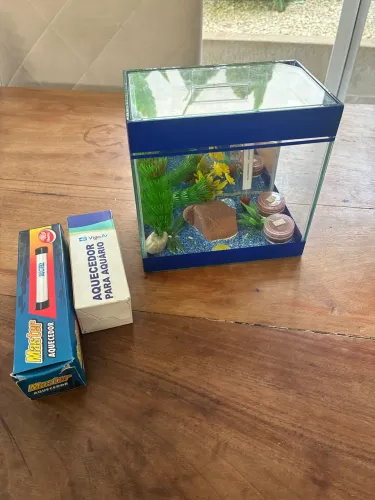 Kit Aquário Beteira Completo (2,5 Litros) com 2 Aquecedores 127V, Termômetro