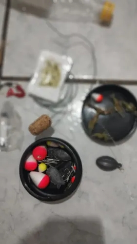 Vara de pesca 