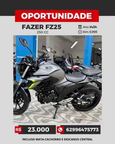 Fazer FZ 25 250 vc