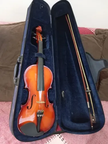 Violino