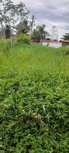 Terreno lindo em Ilha comprida 