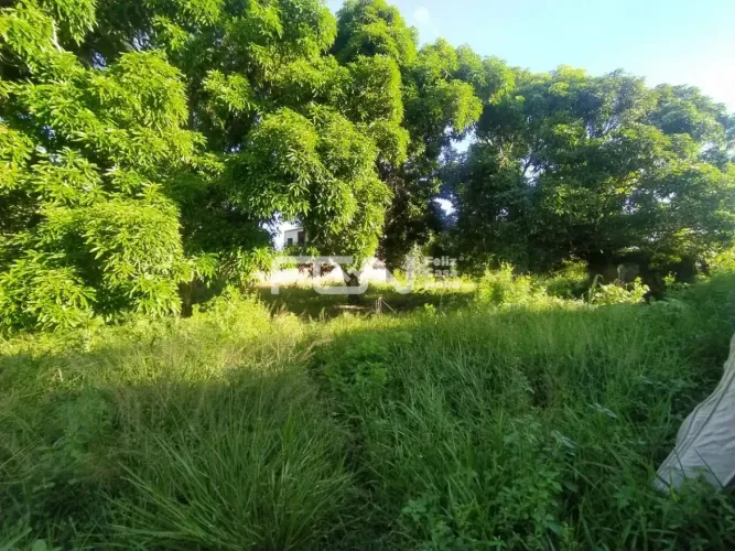 Terreno à venda - Jardim Limoeiro - Camaçari/BA