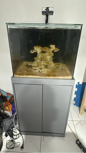 Aquário Cubo com sump 60x60x50