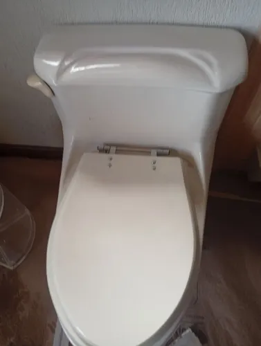 Sobre os vasos