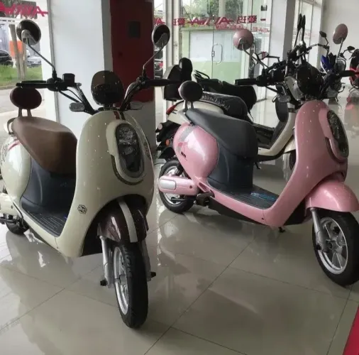 Moto elétrica