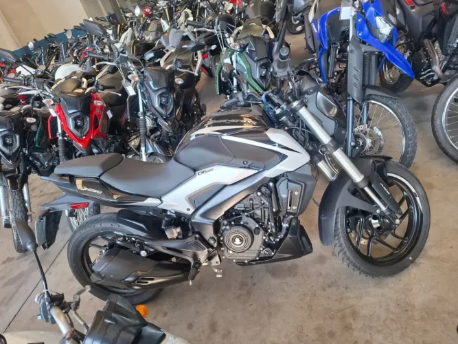 Bajaj dominar 2025 shalom veículos 