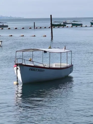 Barco fibra