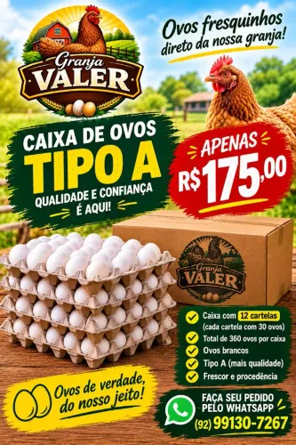 CAIXA DE OVO TIPO A 175 REAIS