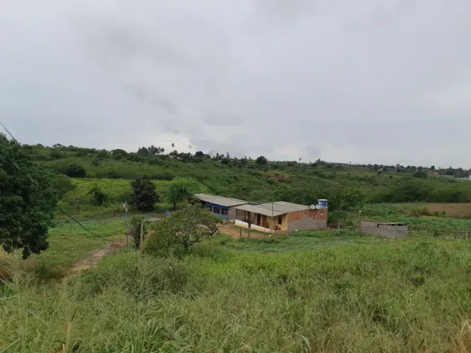 Fazenda/Sítio/Chácara para venda tem 10.000 m2 com 1 Kitnet em - Feira Nova - Pernambuco
